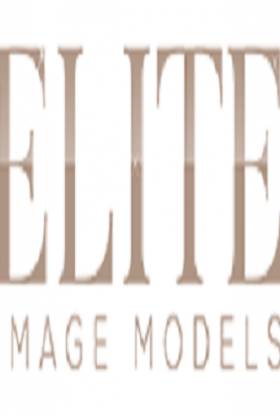 Elite Image Models
