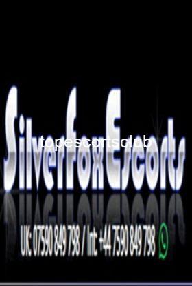 Silver Fox Escorts Agency