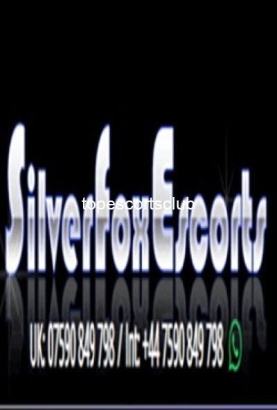 Silver Fox Escorts Agency